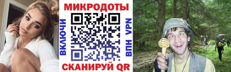 Галлюциногенные грибы MAGIC MUSHROOMS  купить  сайты  мега маркетплейс  Цимлянск 